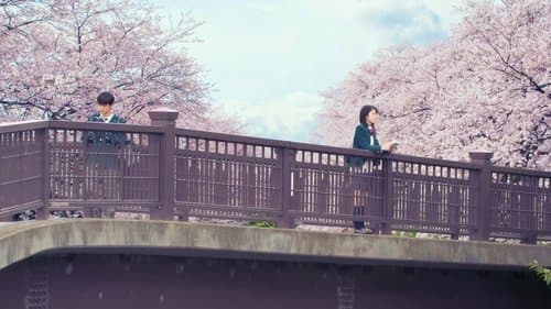 Let Me Eat Your Pancreas Bild 1