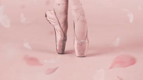 단, 하나의 사랑 Bild 3