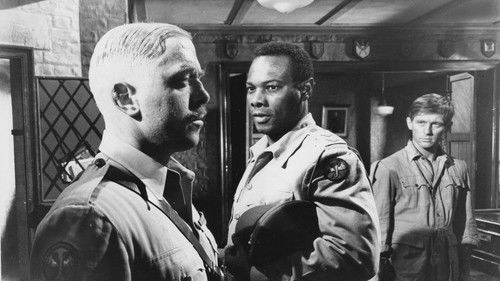 Schüsse in Batasi Bild 8