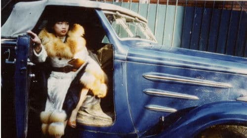 Ombres de soie Bild 2