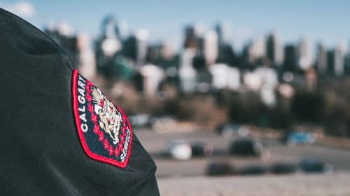 No Visible Trauma Bild 2