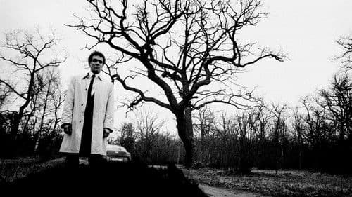 Püha Tõnu kiusamine Bild 3