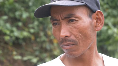 हराएका वर्षहरू Bild 1