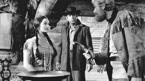 Mit Büchse und Colt Bild 2