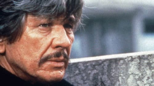 Ein Mann räumt auf Bild 7