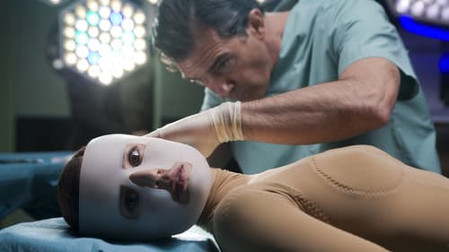 Die Haut, in der ich wohne Bild 4