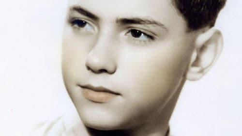 My Way: The Rise and Fall of Silvio Berlusconi Bild 1