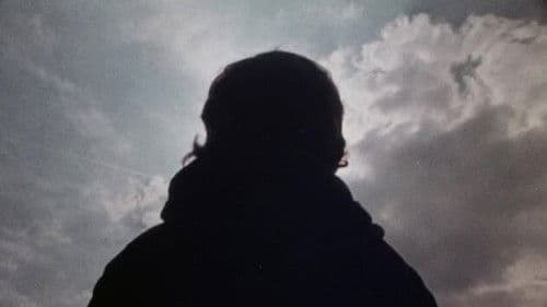 Firework: Eyes Bild 1