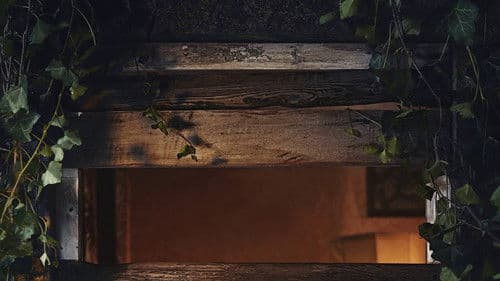 Somewhere Boy Bild 4