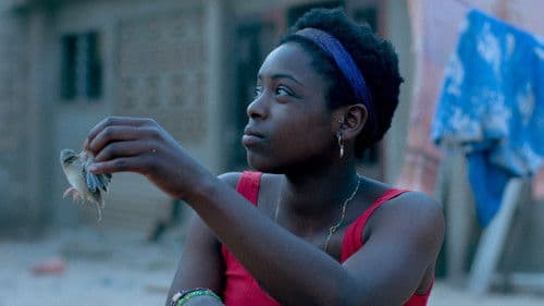 Le Voyage de Talia Bild 3