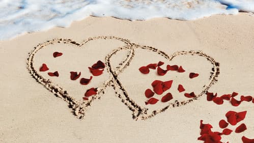 Bachelor in Paradise Bild 6