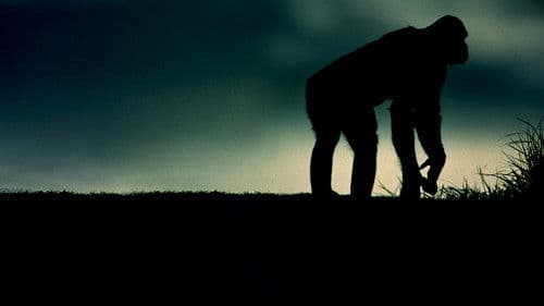 Königreich der Affen: Frontlinien Bild 3