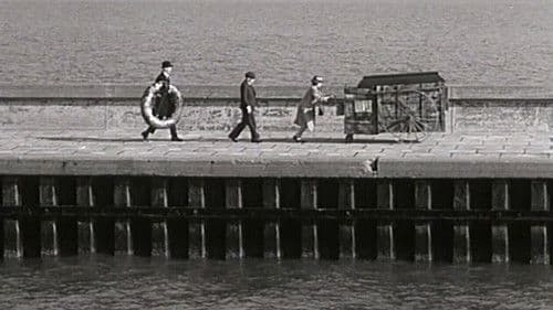 Seraphine oder die wundersame Geschichte der Tante Flora Bild 1