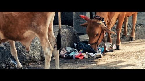 Eighth Hill - A Sacred Revolution: Tirupati's Dream without Plastic Bild 6