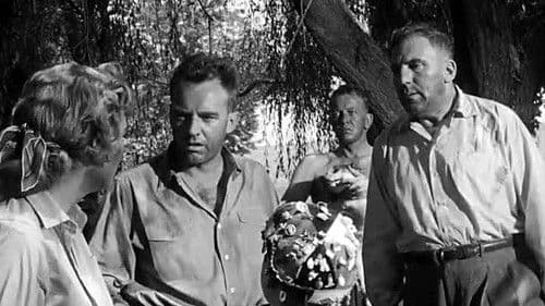 Straße des Terrors Bild 3