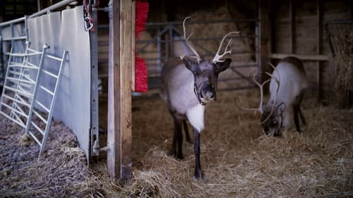 Christmas in the Cotswolds Bild 1