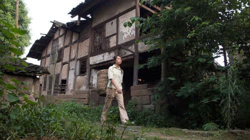 Last Train Home Bild 2