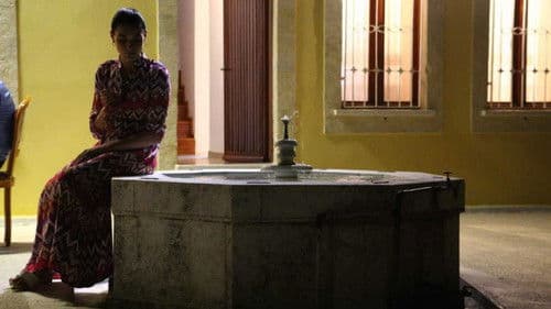 Defne'nin Bir Mevsimi Bild 1