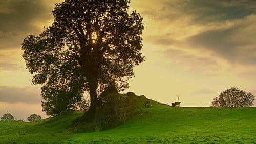 Paladin - Der Drachenjäger Bild 8