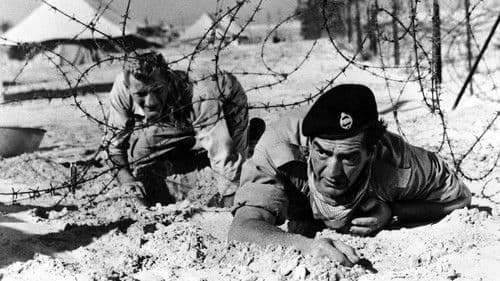 Keine Zeit zu Sterben Bild 1