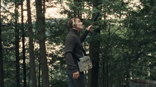 Allen Sunshine Bild 2