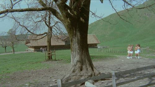 Sechs Schwedinnen auf der Alm Bild 8