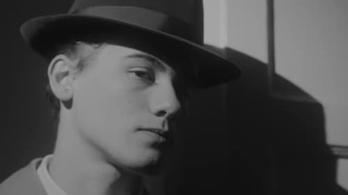 Why Not, Pat? Bild 2