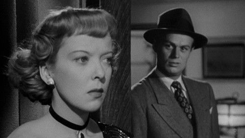 Nachtclub-Lilly Bild 3