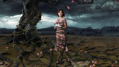 Web of Dreams Bild 2