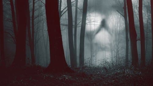 28 Days Haunted Bild 1