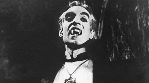 Der Sarg des Vampiro Bild 2