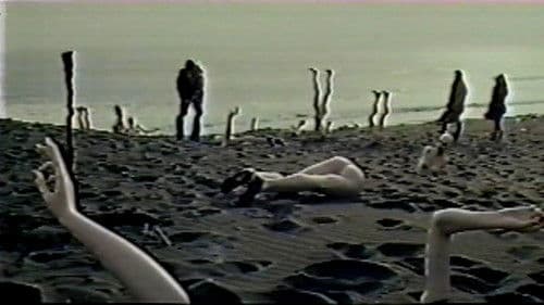 Neigh Means Yes Bild 5