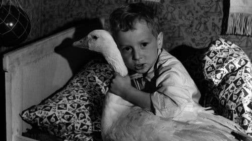 Peterle und die Weihnachtsgans Auguste Bild 1