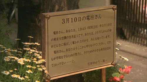 戦争と青春 Bild 1