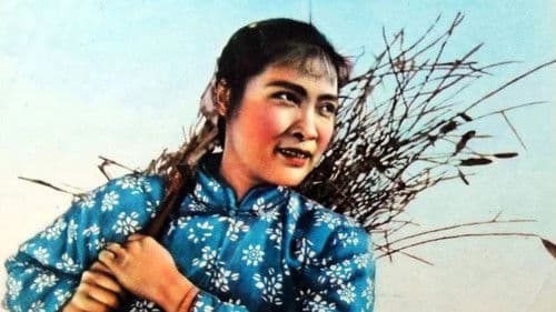 红色的种子 Bild 1