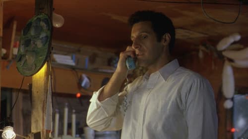 Box of Moonlight Bild 5