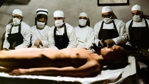 „Anna” i wampir Bild 3