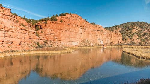 American Dream Stories Bild 5