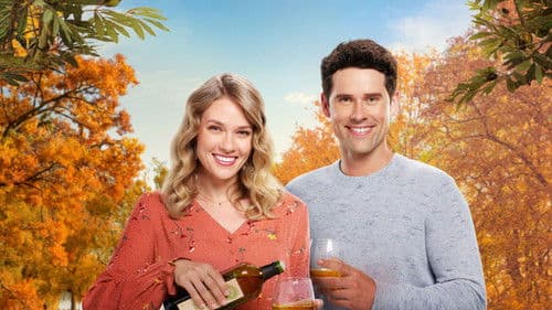 Love Under the Olive Tree Bild 2