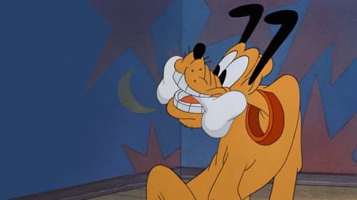 Das Gefundene Fressen Bild 8