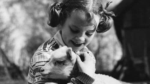 Alla vi barn i Bullerbyn Bild 5