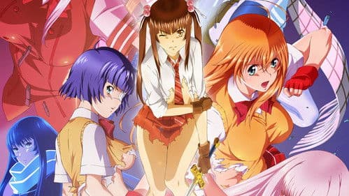 Shin Ikki Tousen Bild 2