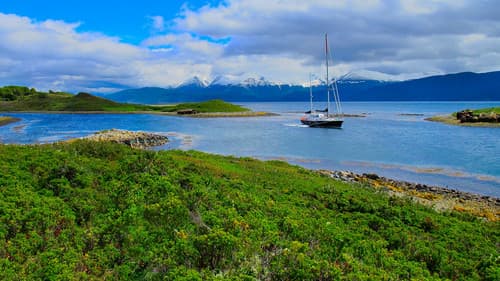 Une fleur dans le Pacifique Bild 1