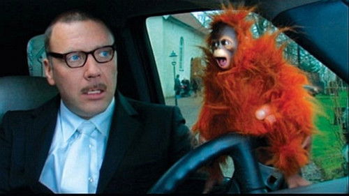 Bang Bang Orangutang Bild 5