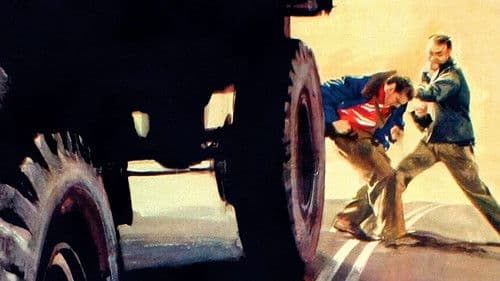 Schwarzer Kies Bild 5