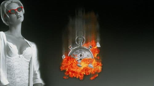 2 Tage in L.A. Bild 4