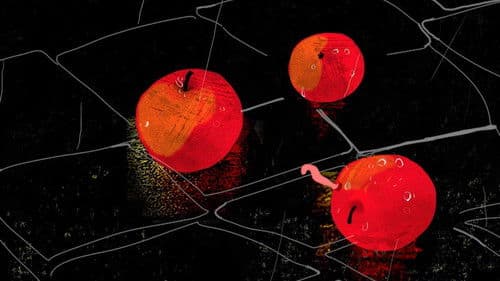 Потерянный сад Bild 4