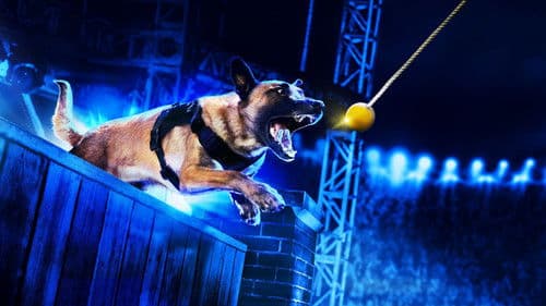 America's Top Dog Bild 2