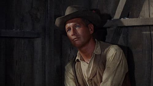 Man nannte ihn Hombre Bild 4