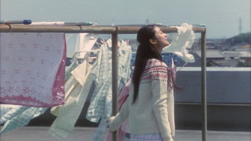 半分の月がのぼる空 Bild 3